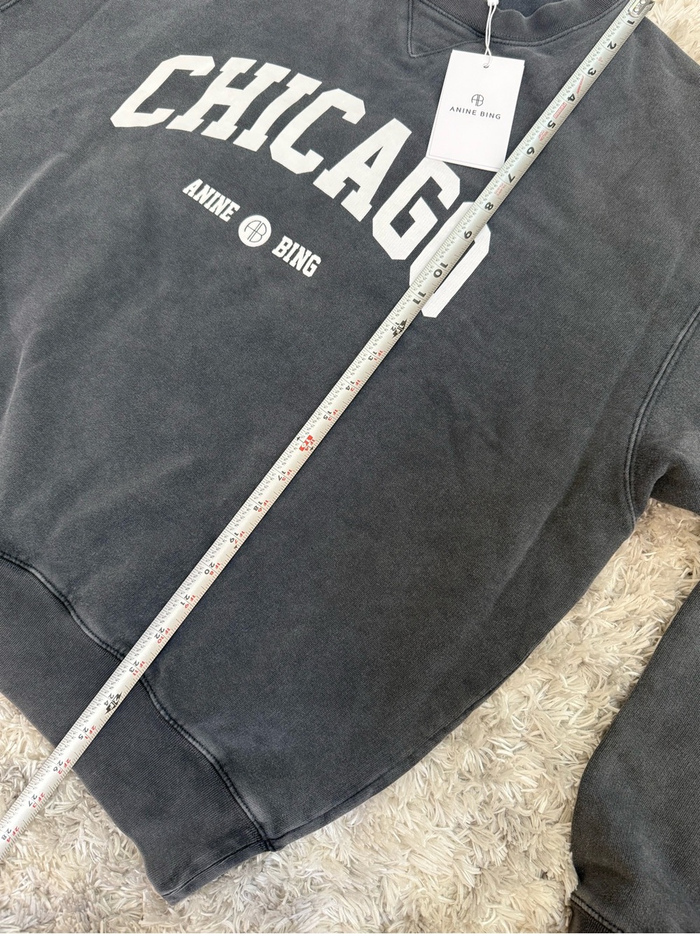 NWT Anine Bing Womens Sweatshirt University Chicago Washed Black Sz XL - Picture 9 of 11